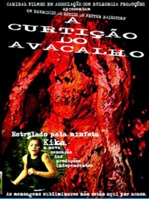 A Curtição do Avacalho-2006
